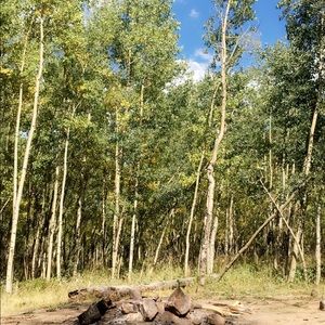 Meet your Posher, Madeline